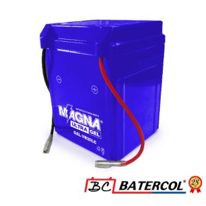 BATERIA MAGNA GEL-YB25LB